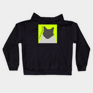 I am Majestic Abstract Cat Kids Hoodie